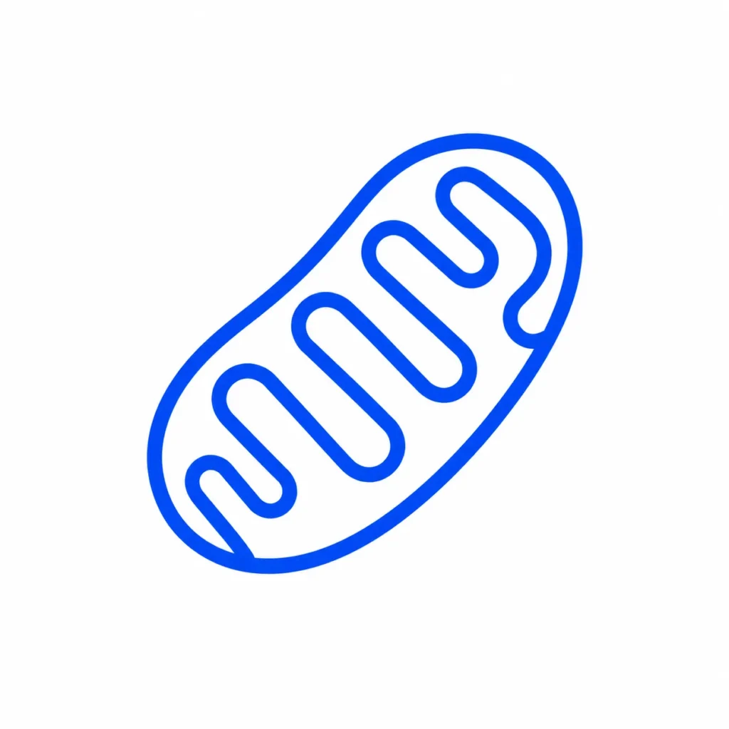 Research Peptides Canada — Mitocho, Infinity Lab Peptides