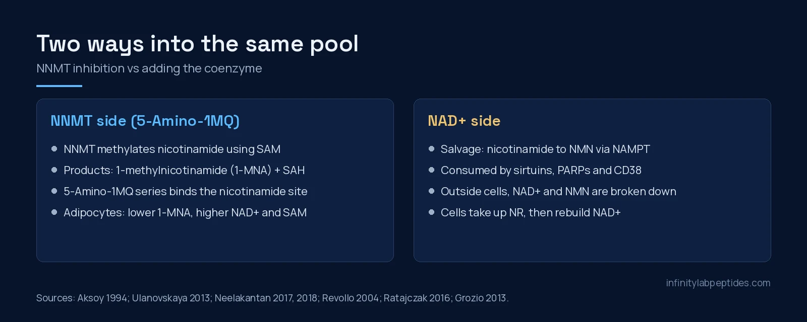 Two-panel diagram: NNMT methylation of nicotinamide using SAM beside the NAD+ salvage and consumption pathway