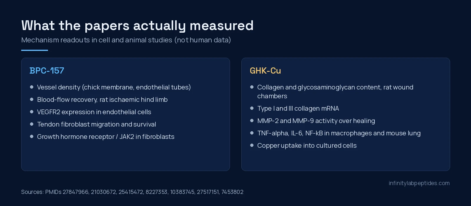 Two-panel chart listing what BPC-157 and GHK-Cu studies measured in cell and animal models
