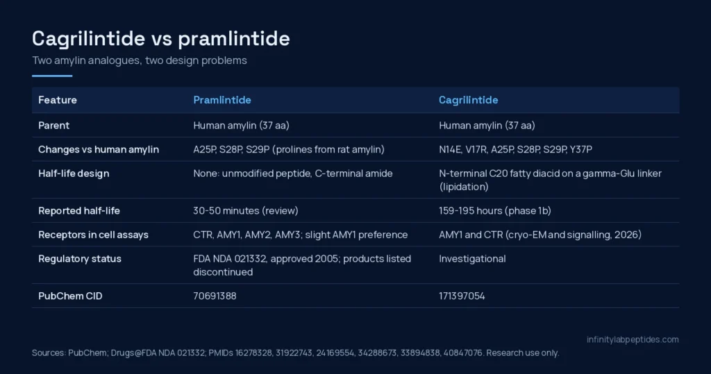 Comparison table of pramlintide and cagrilintide: sequence changes, half-life design, reported half-life, receptors and regulatory status