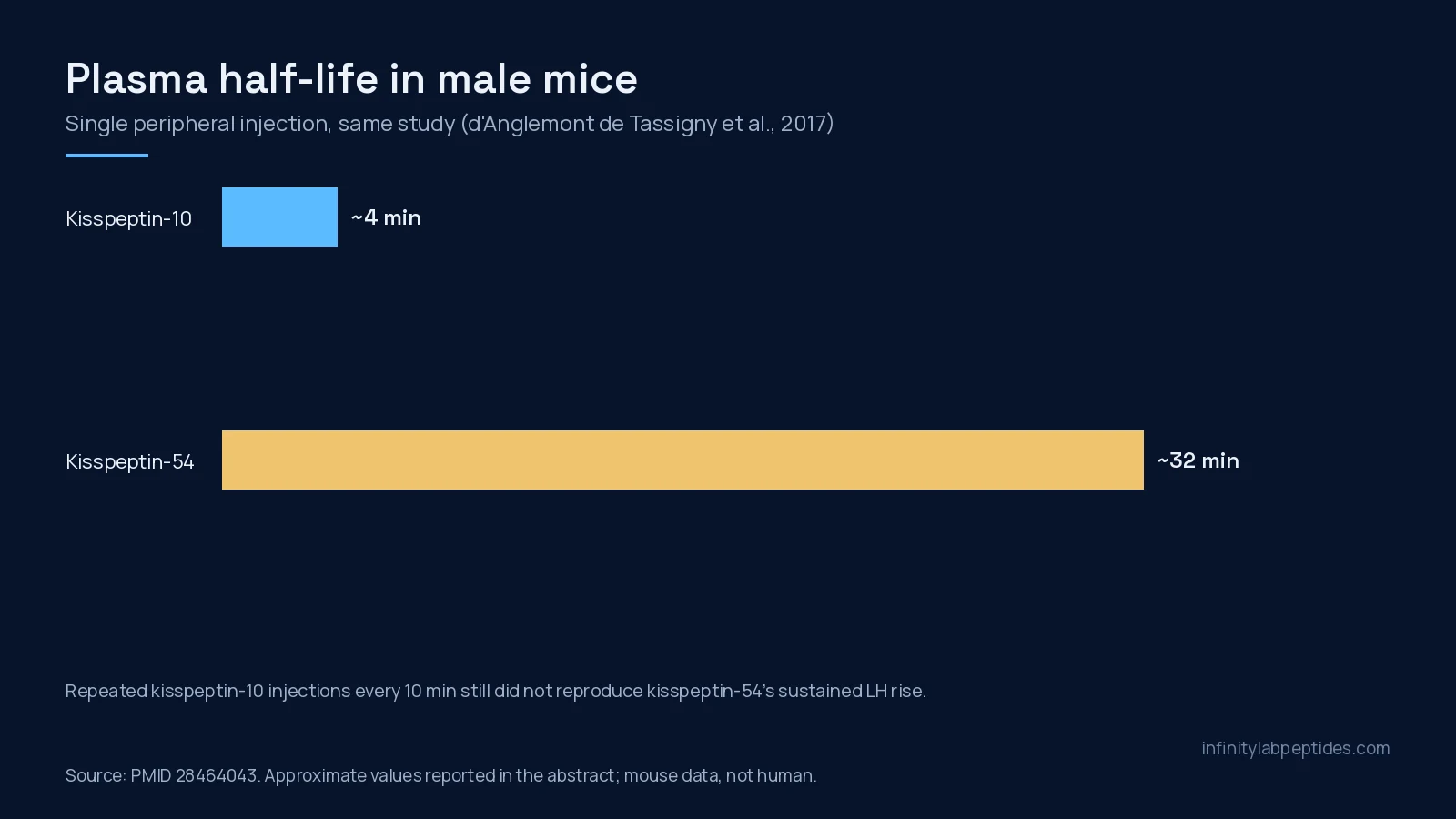 Bar chart of plasma half-life in male mice: about 4 minutes for kisspeptin-10 and about 32 minutes for kisspeptin-54