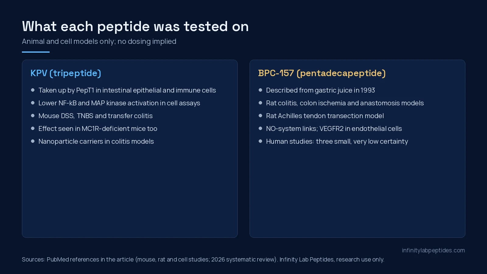 KPV vs BPC-157 research models: PepT1 uptake and mouse colitis for KPV; rat colitis, tendon and vascular work for BPC-157