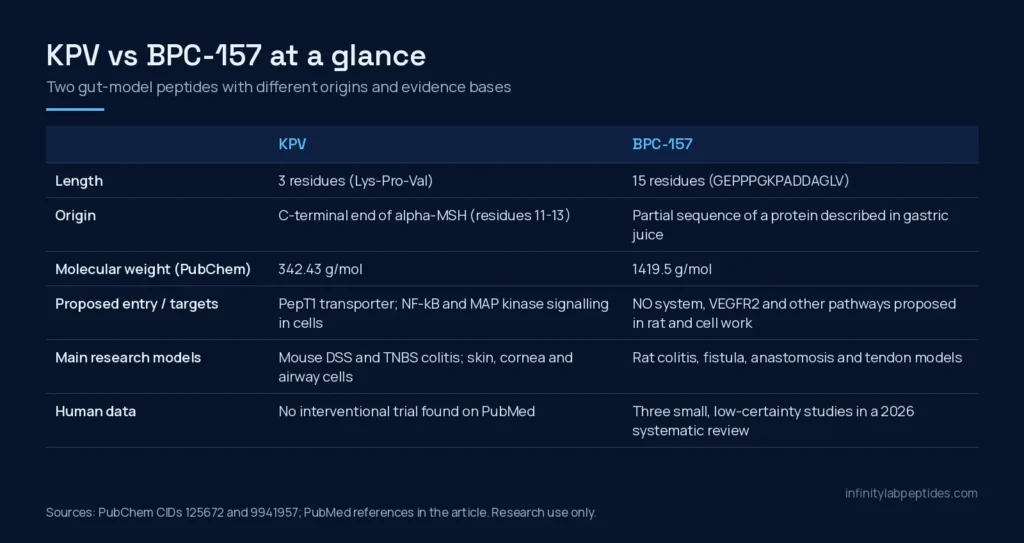 KPV vs BPC-157 comparison table: length, origin, molecular weight, proposed targets, research models and human data