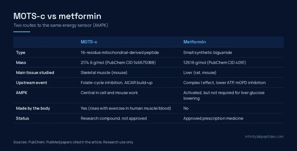 Comparison table of MOTS-c and metformin: type, mass, tissue, upstream mechanism, AMPK role and status