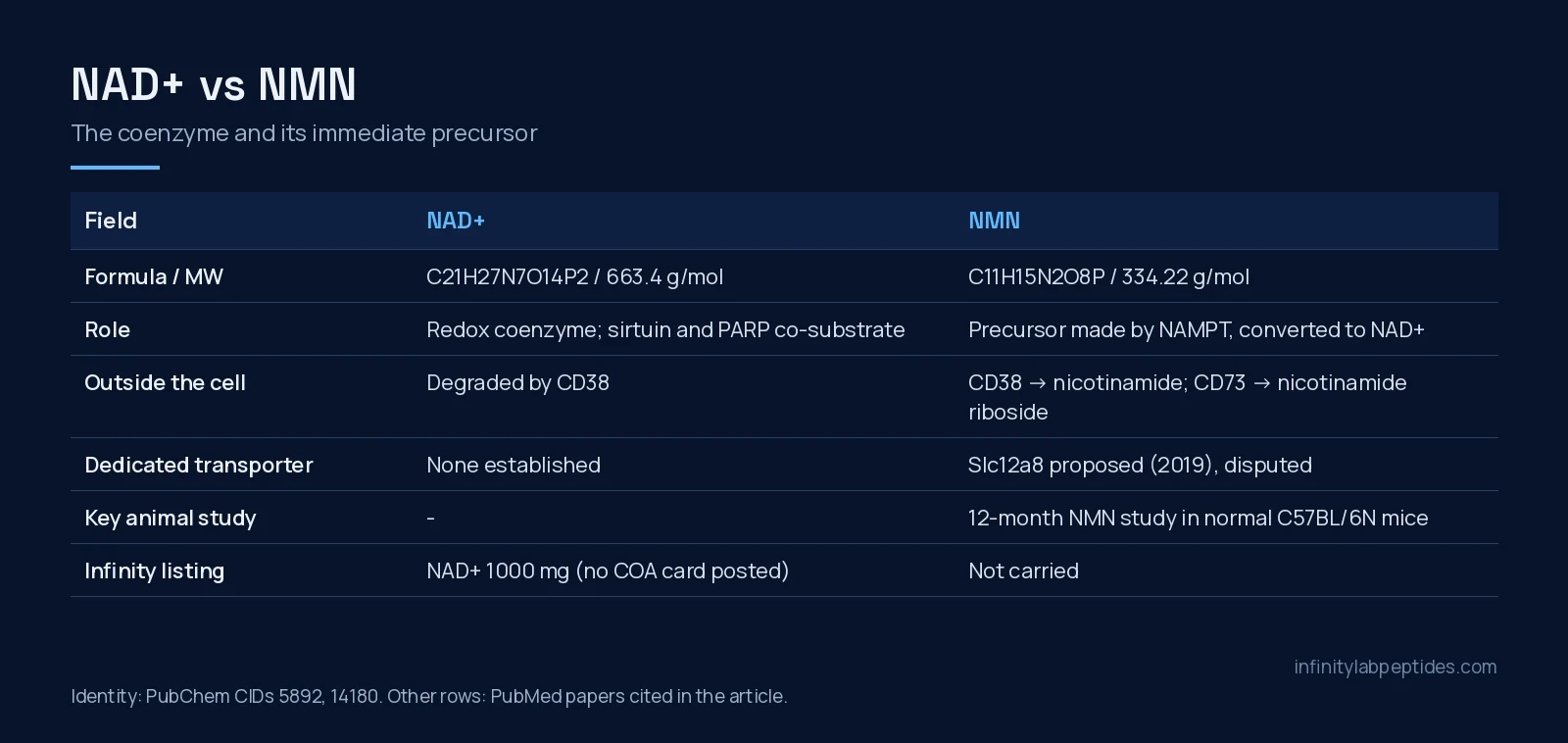 Comparison table of NAD+ and NMN: formula, molecular weight, role, extracellular enzymes, transporter and animal evidence