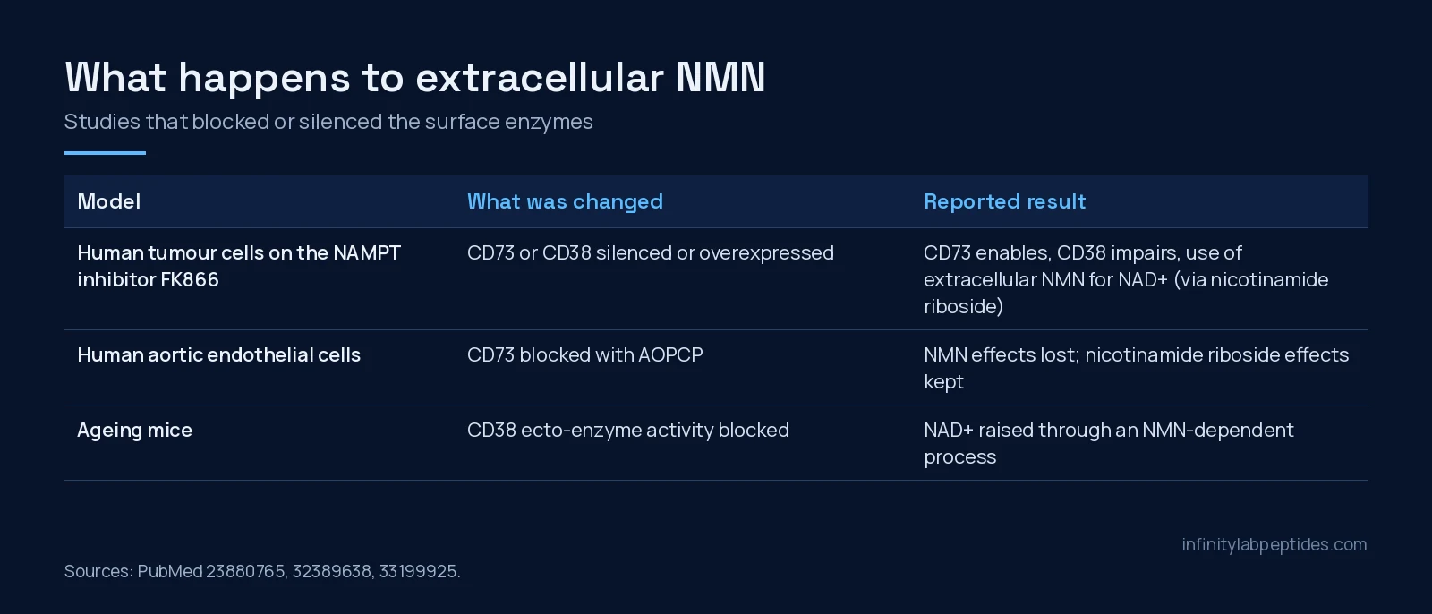 Table of three studies on extracellular NMN: CD73 and CD38 in tumour cells, CD73 blockade in endothelial cells, CD38 blockade in ageing mice