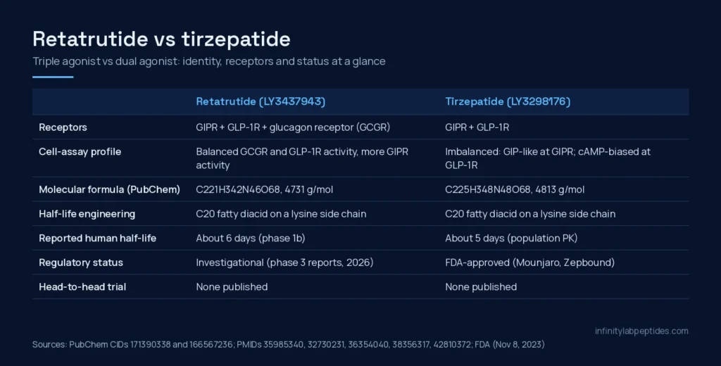 Comparison table of retatrutide and tirzepatide: receptors, cell-assay profile, formula, half-life engineering and regulatory status