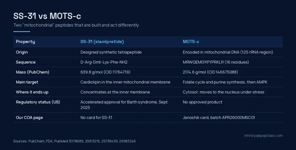 Comparison table of SS-31 (elamipretide) and MOTS-c: origin, sequence, mass, main target, location, status and COA