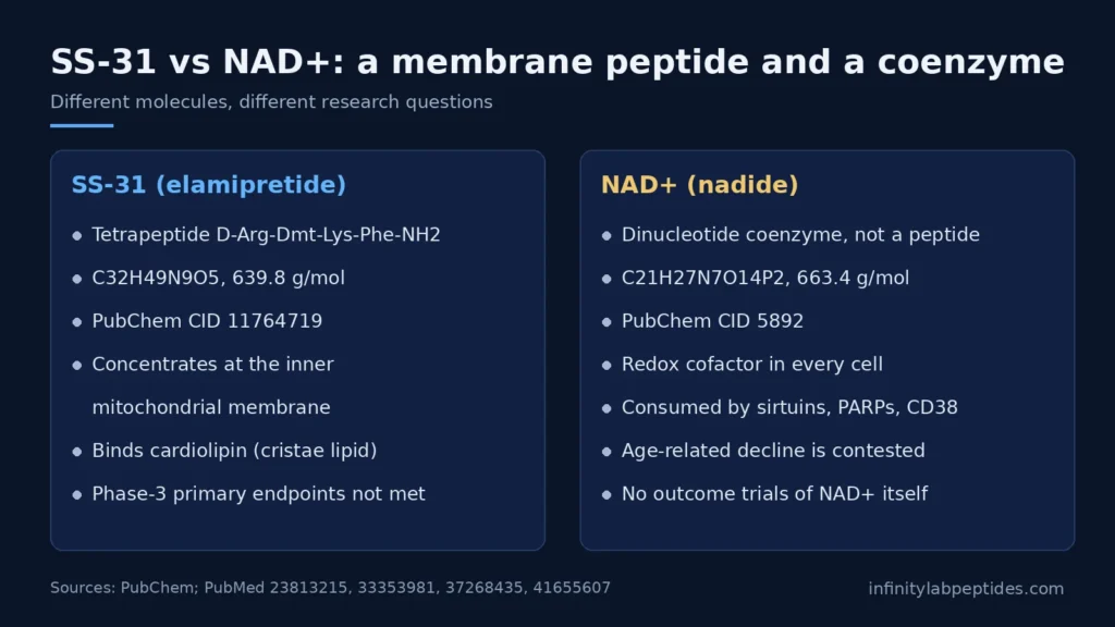 Comparison card: SS-31 (elamipretide) tetrapeptide vs NAD+ dinucleotide coenzyme, identity and research focus