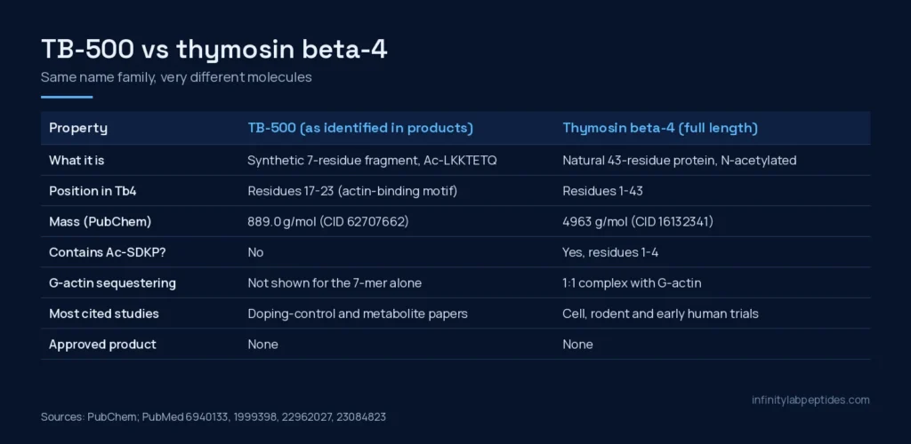 Comparison table of TB-500 (Ac-LKKTETQ fragment) and full-length thymosin beta-4: sequence position, mass, Ac-SDKP, actin sequestration