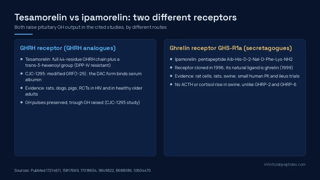 Diagram comparing the GHRH receptor route used by tesamorelin and CJC-1295 with the ghrelin receptor route used by ipamorelin