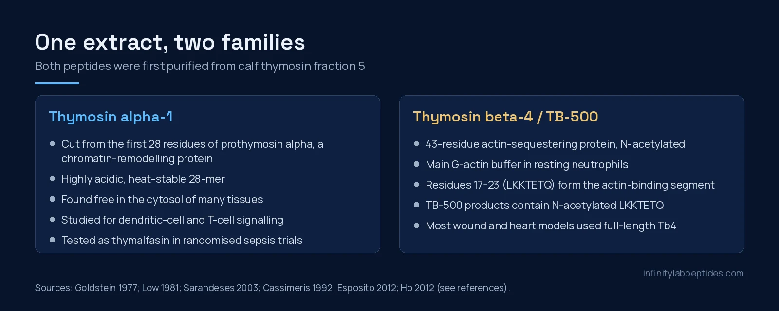 Two-panel diagram contrasting thymosin alpha-1, cut from prothymosin alpha, with actin-binding thymosin beta-4 and its TB-500 fragment