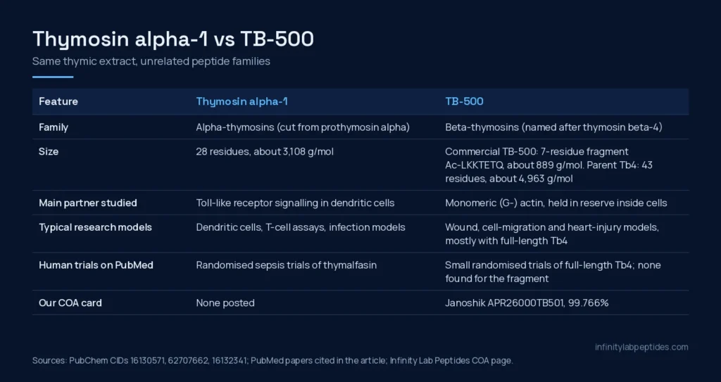 Comparison table of thymosin alpha-1 and TB-500: peptide family, size, binding partner, research models, human trials and COA status